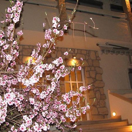 Villa Kokkinos Potos Buitenkant foto